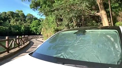 Foldable Windshield Sun Shade for Tesla Model 3/Y (2017-2024) - Sun Visor Accessory